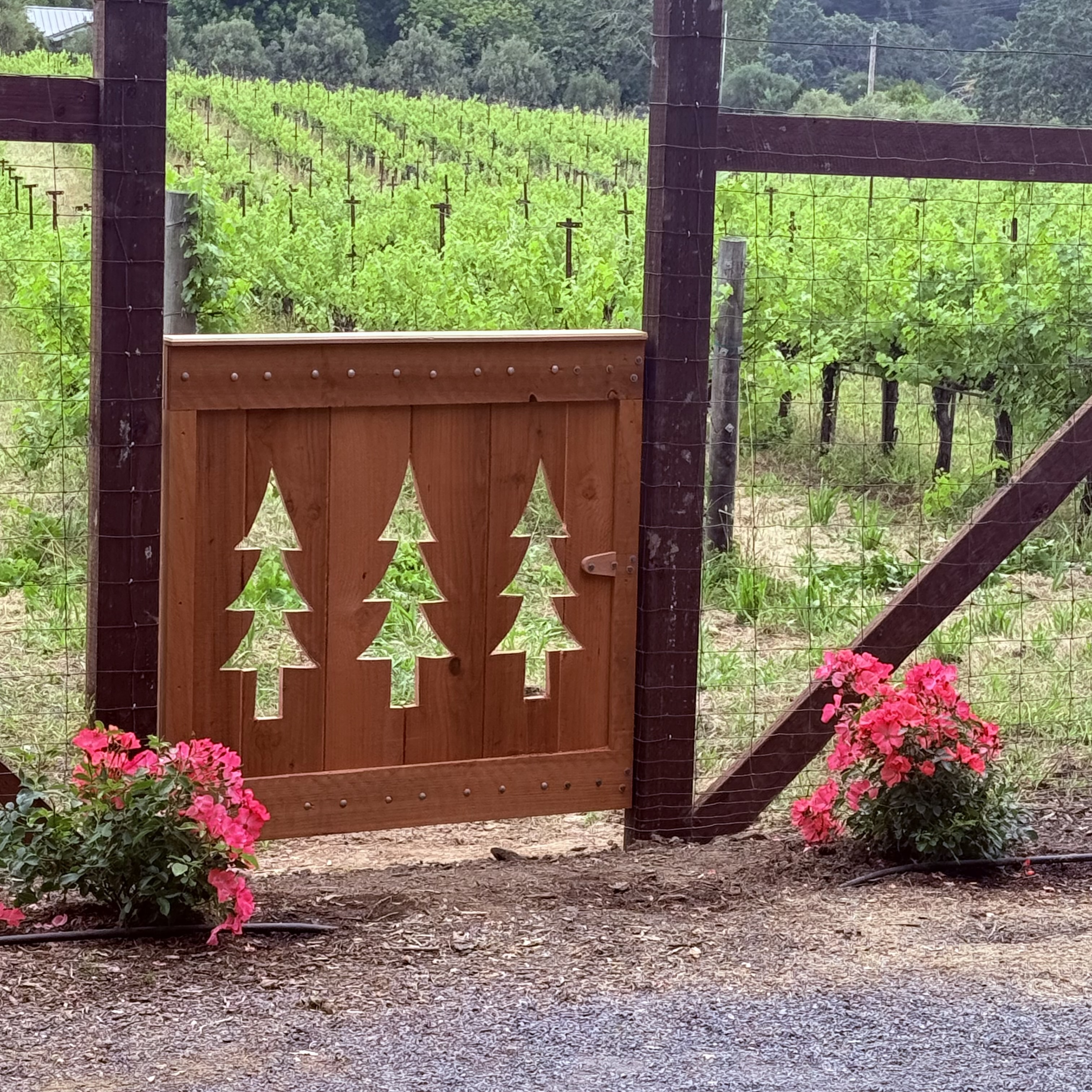 Redwood tree gate